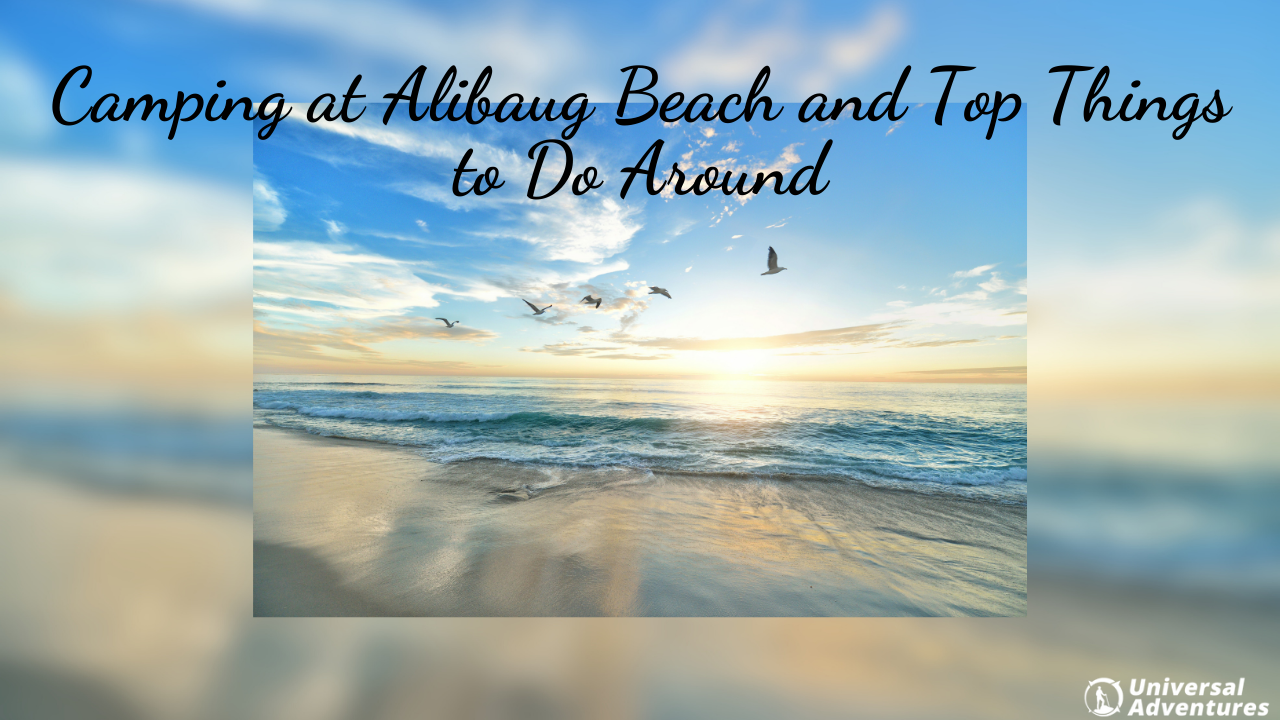 Camping at Alibaug Beach and Top Things to Do Around