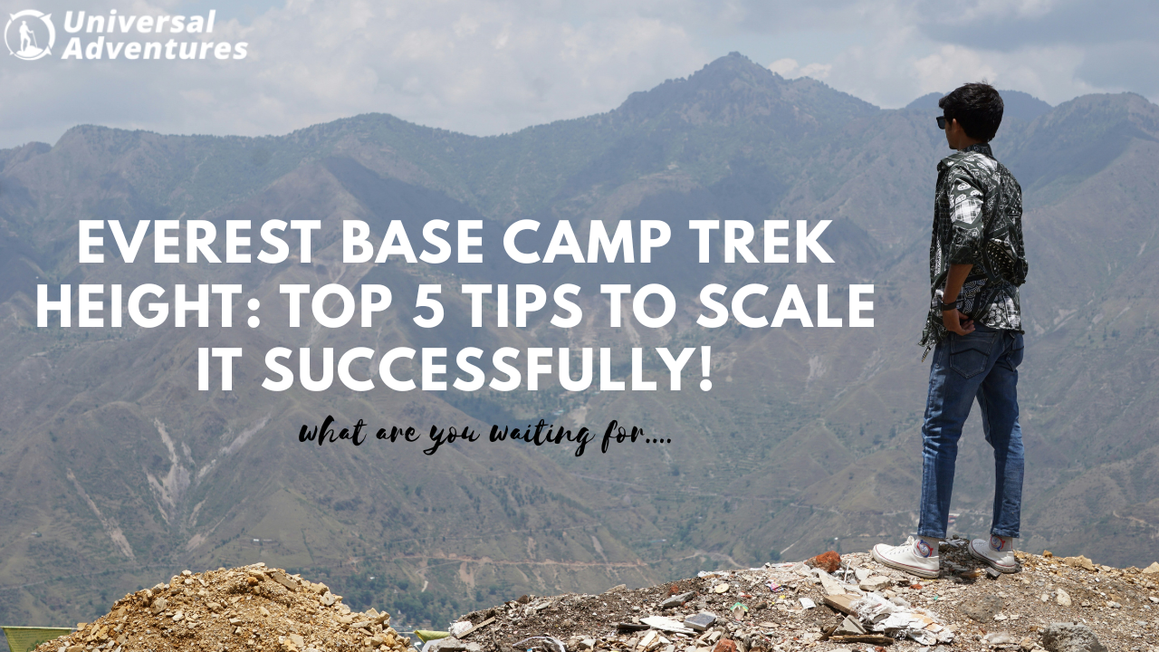 Everest Base Camp Trek Height: Top 5 Tips to Scale It Successfully!