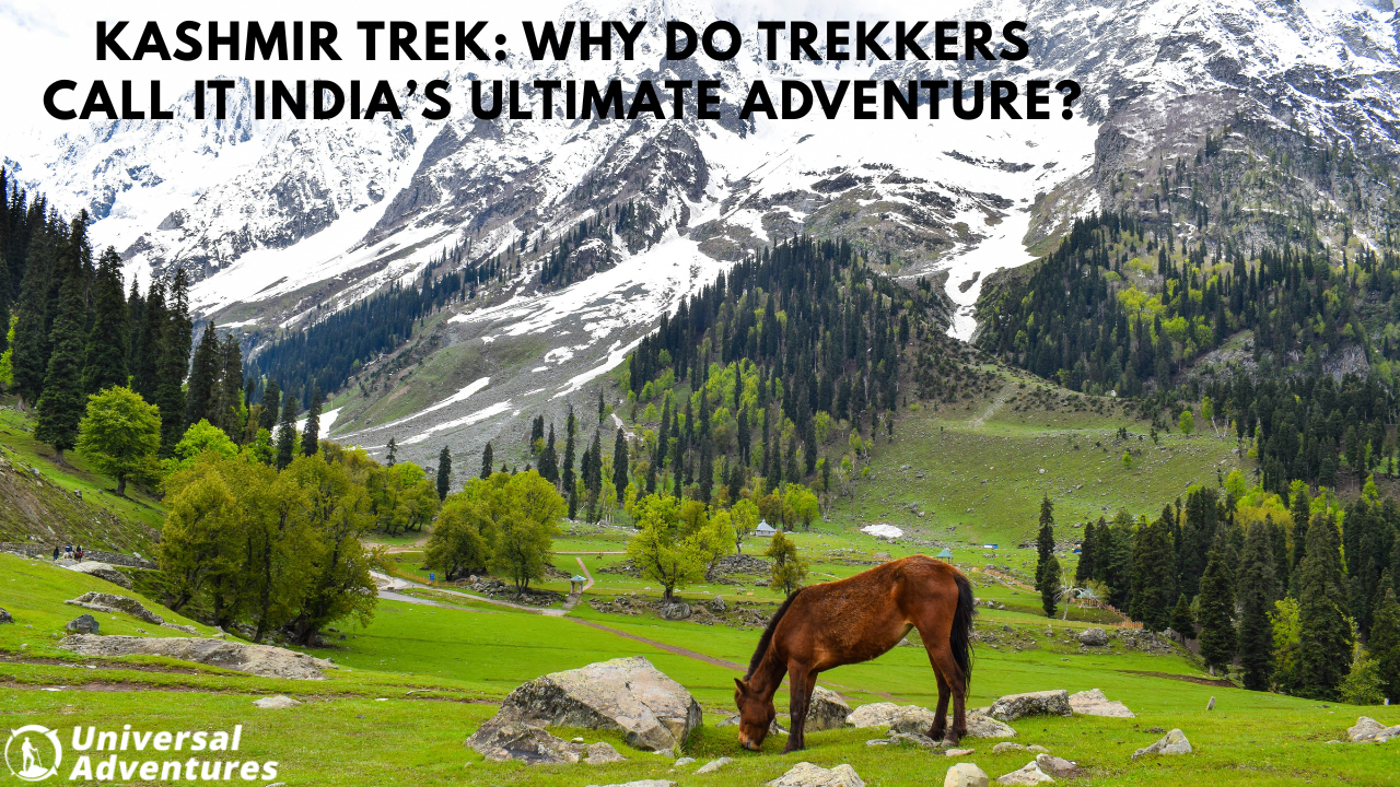Kashmir Trek: Why Do Trekkers Call It India’s Ultimate Adventure?