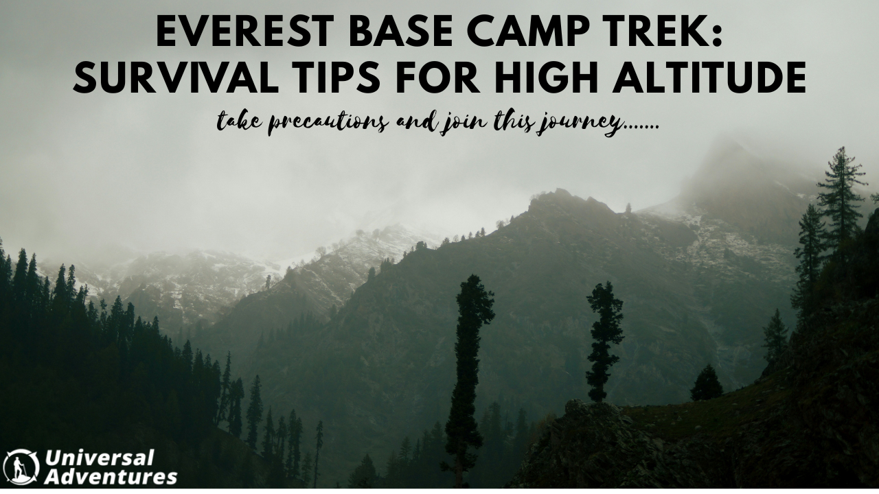Everest Base Camp Trek: Survival Tips for High Altitude