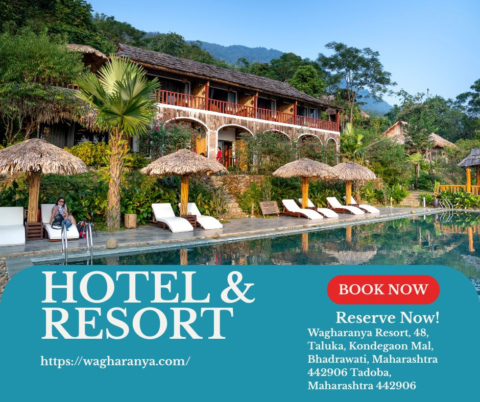 What Facilities Do Luxury Resorts in Tadoba Andhari Tiger Reserve Provide for Guests?