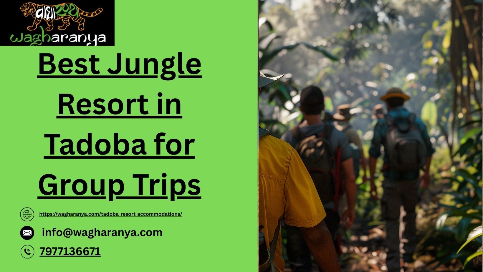 Best Jungle Resort in Tadoba for Group Trips