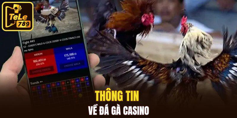 Đến với Đá Gà Casino - Nơi Đam Mê Và Trải Nghiệm Đan Xen Hoàn Hảo