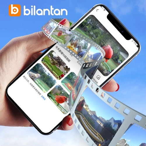 Your Birdwatching Memories, Safe in the Cloud. Access Anytime, Anywhere