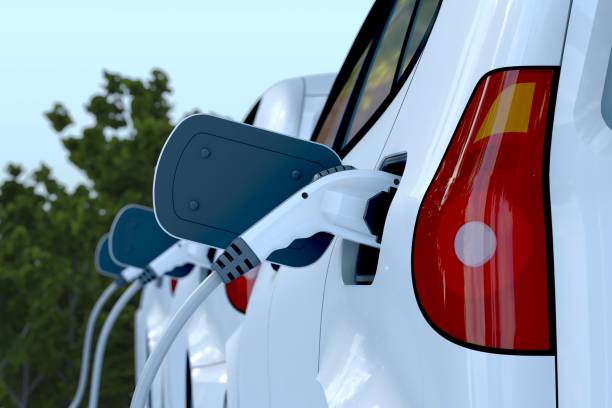 Hybrid Battery Replacement in New Lynn: Cost & Warning Signs