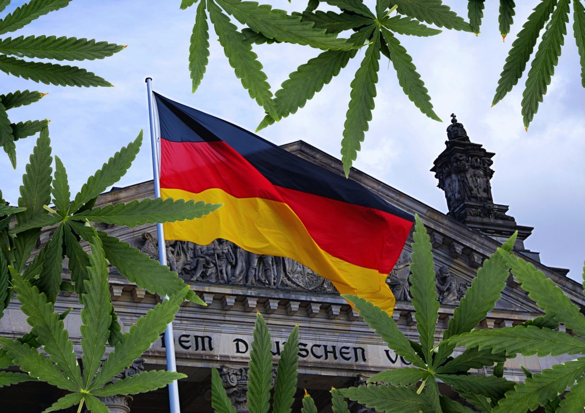 The Future of Cannabis in Europe After Germany’s Legalization