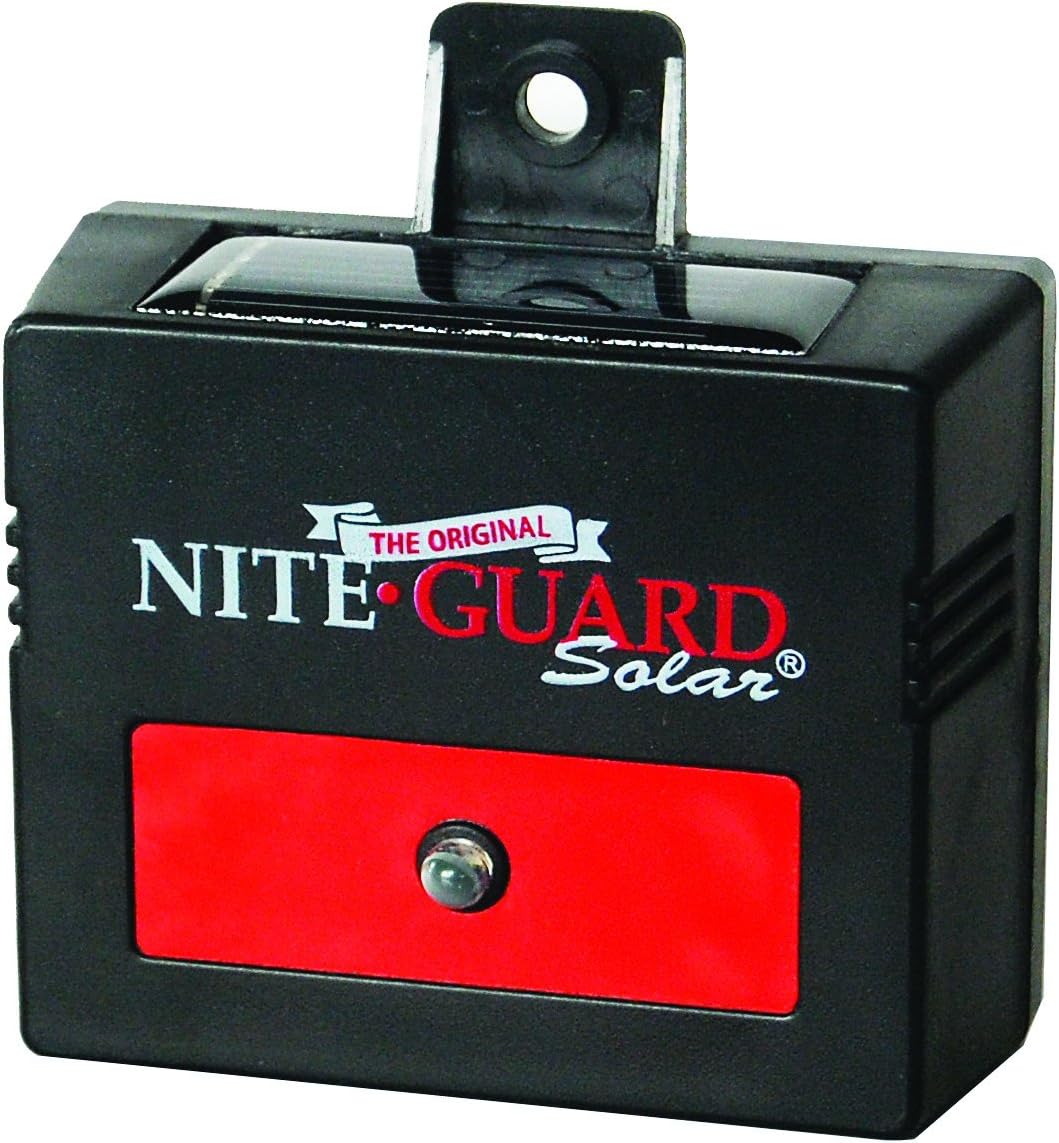 Night Guard Solar Lights Reviews And Scam Alert!