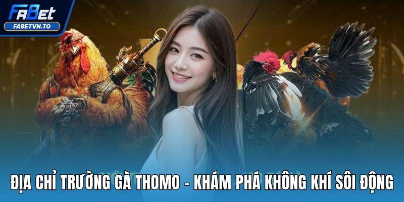 Khám Phá Không Khí Sôi Động Tại Địa Chỉ Trường Gà Thomo