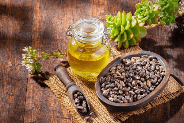 In-Depth Study On The Cold Pressed Castor Oil