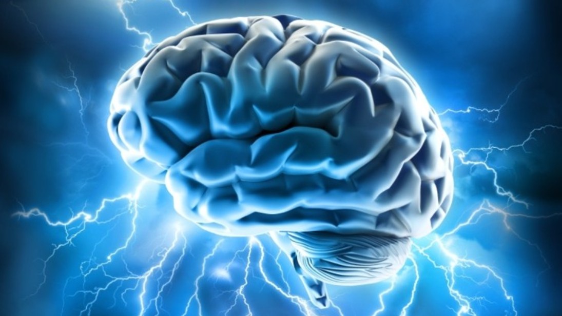 Dr. Charlie Teo Brain Gummies™ Australia: Combining Neuroscience and Nutrition