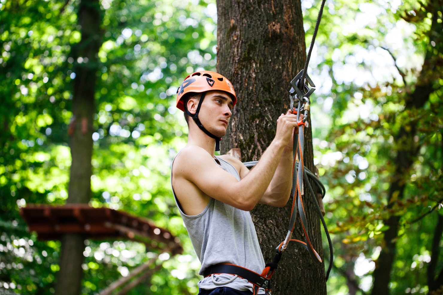 How Tree Cabling Helps Protect Trees During Storm Season?