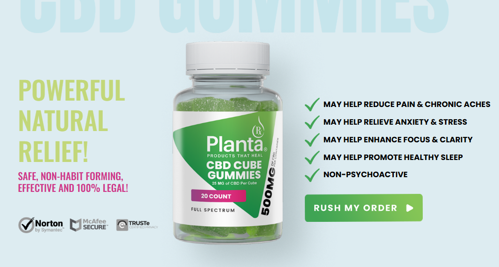 Planta RX CBD Cube Gummies: Canada’s Favorite Path to Calm and Focus