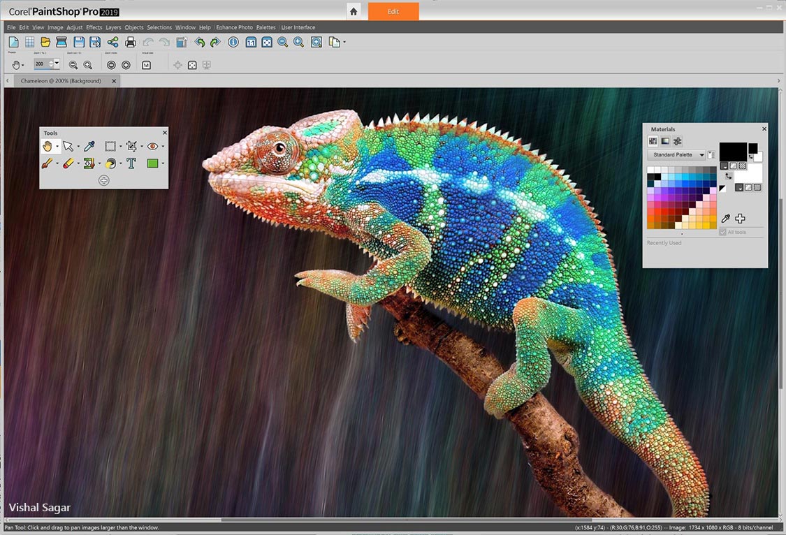 Affordable and Best Photo Software‌‌ - Gotoandlearn