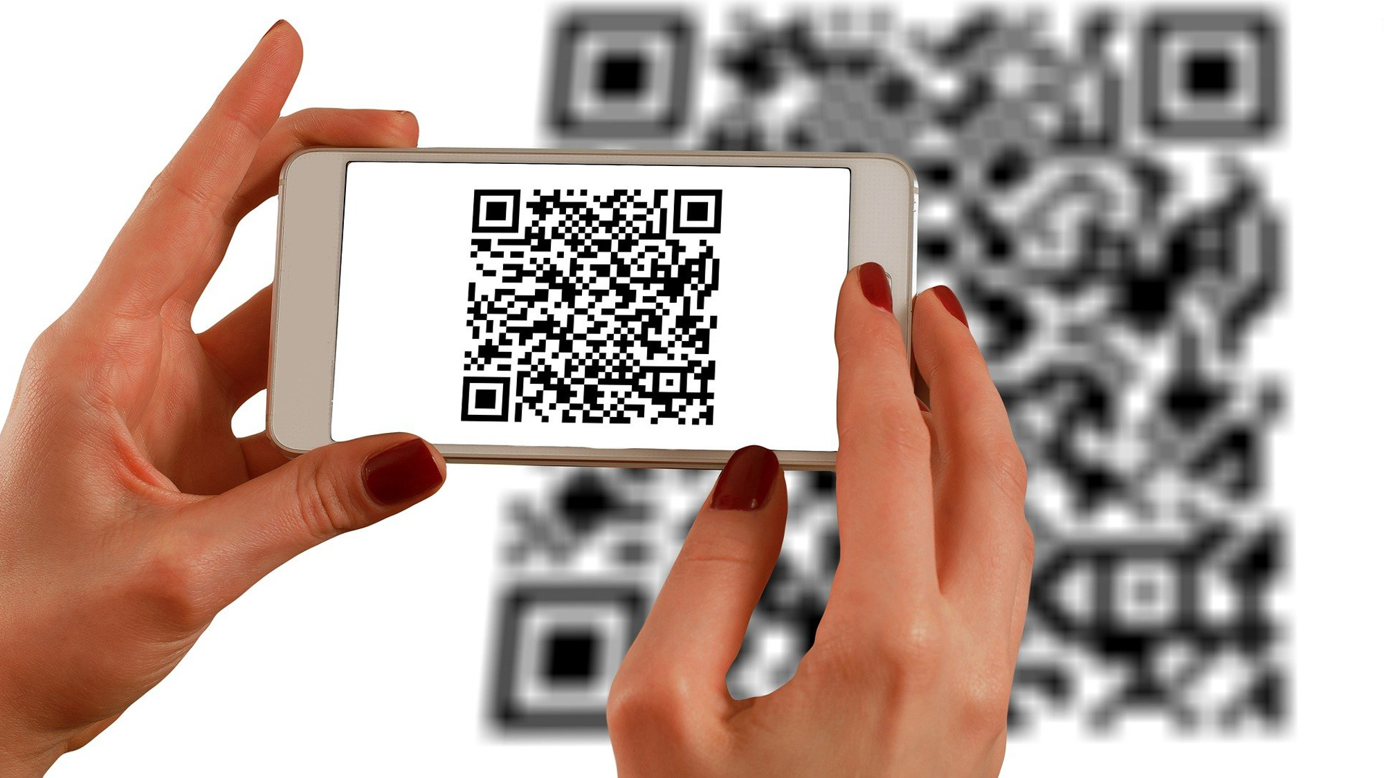 Free QR Code Reader: Scan QR Code Online Anytime