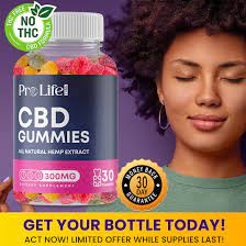 Pro Life CBD Gummies Reviews – Do They Work & Will CBD Show Up on a Drug Test?