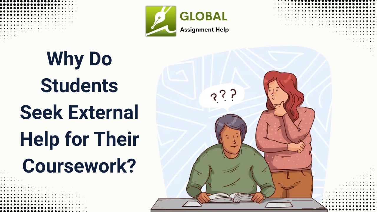 Why Do Students Seek External Help for Their Coursework?