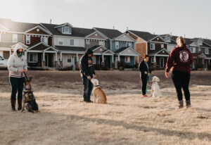 Puppy Training in Tulsa, OK – Building the Foundation for a Lifetime of Good Behavior