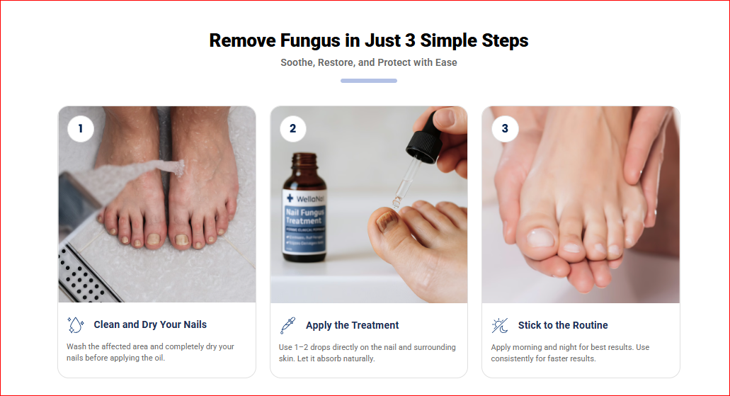 WellaNail Fungus Treatment Oil – Experience the Fast-Acting Natural Formula Everyone Is Talking About!