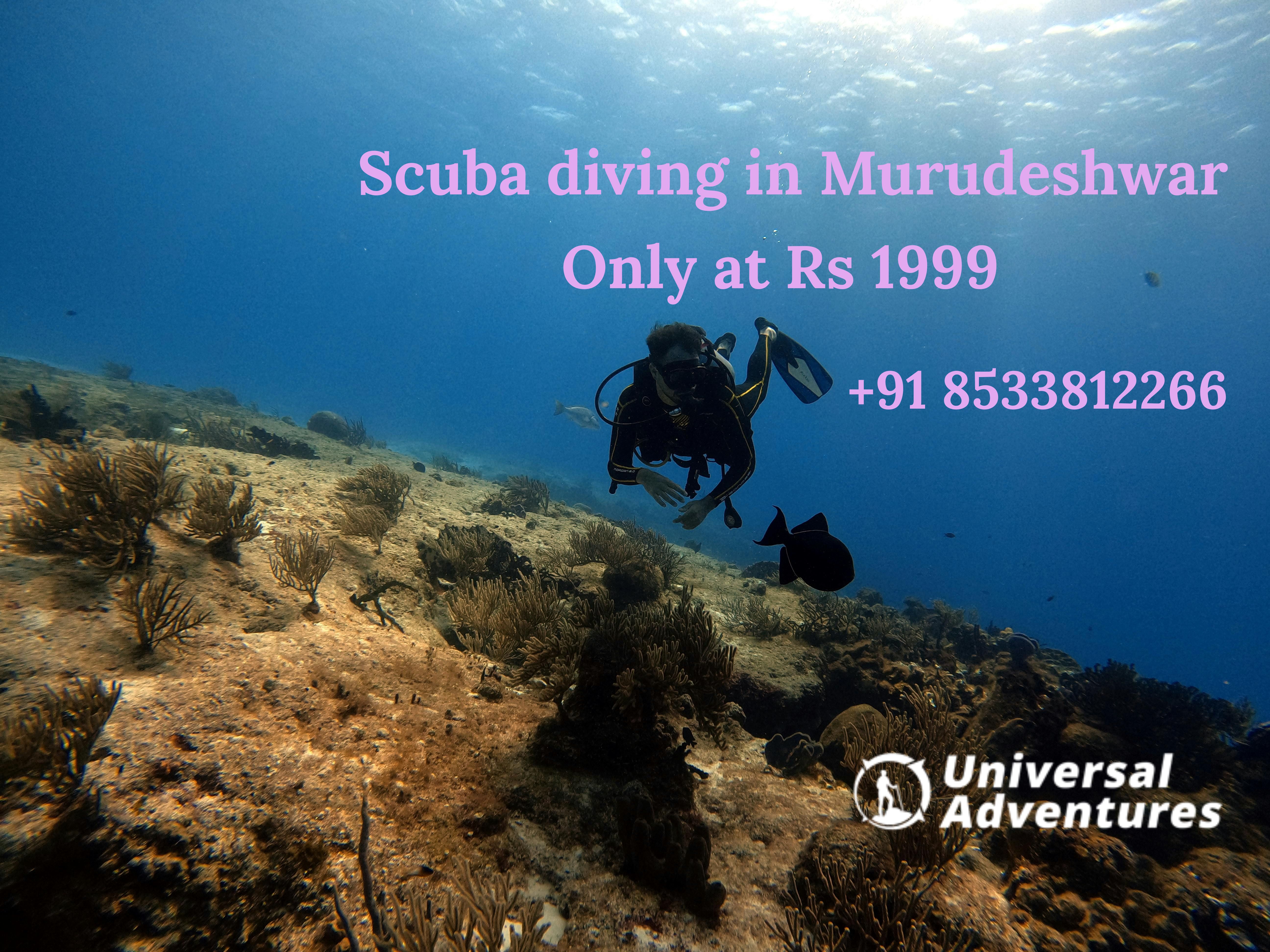 Netrani Island Scuba Diving – 3 Scuba Packages for Different Expectations