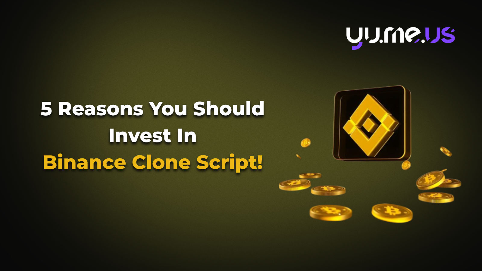5 Reasons You Should Invest In Binance Clone Script!