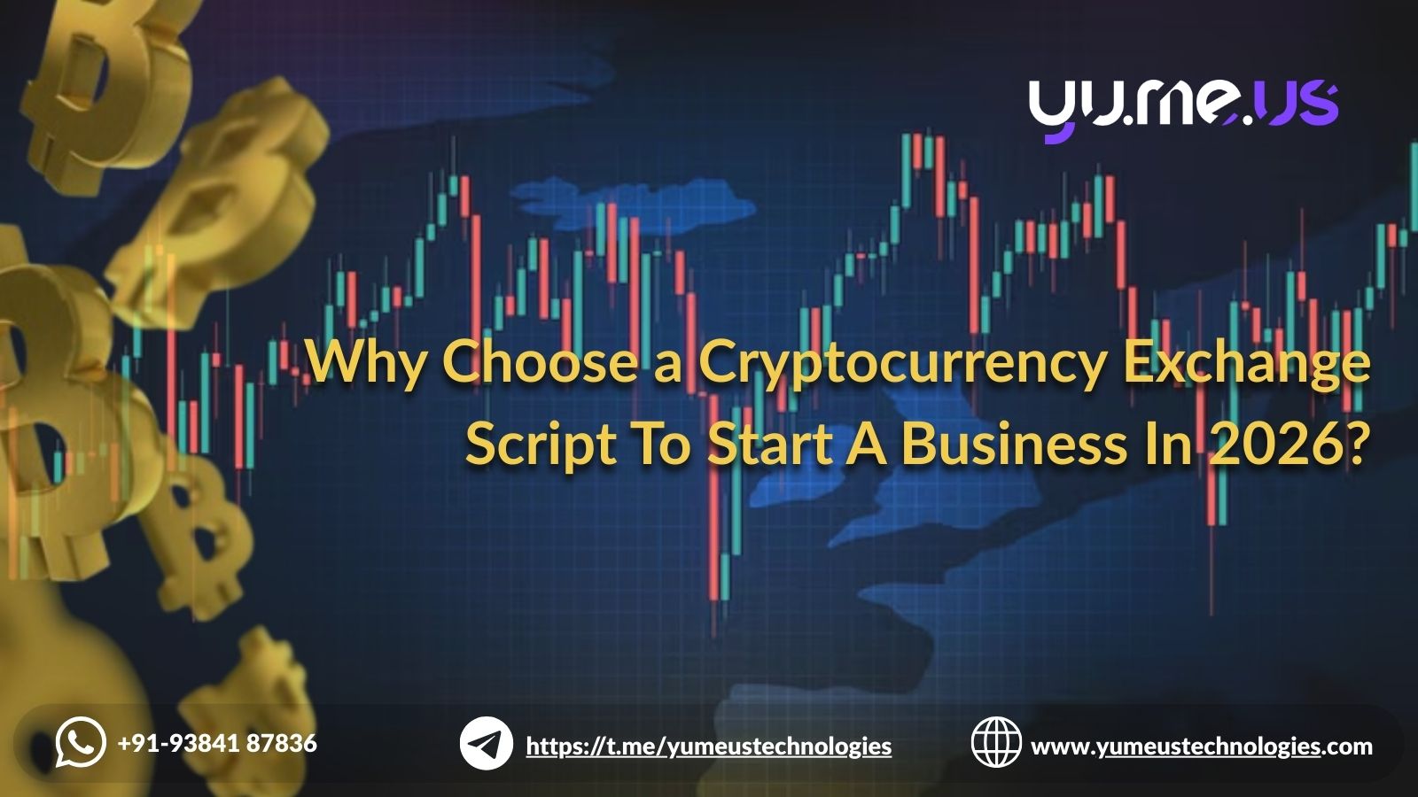 Why Choose a Cryptocurrency Exchange Script To Start A Business In 2026?