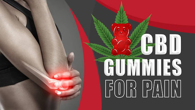 Neurogan CBD Gummies™ and Endocannabinoid Health: What Research Says?