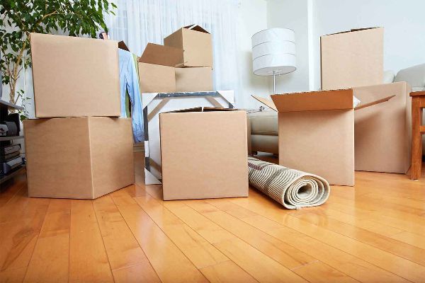 Do Movers Provide Insurance? Explained Simply