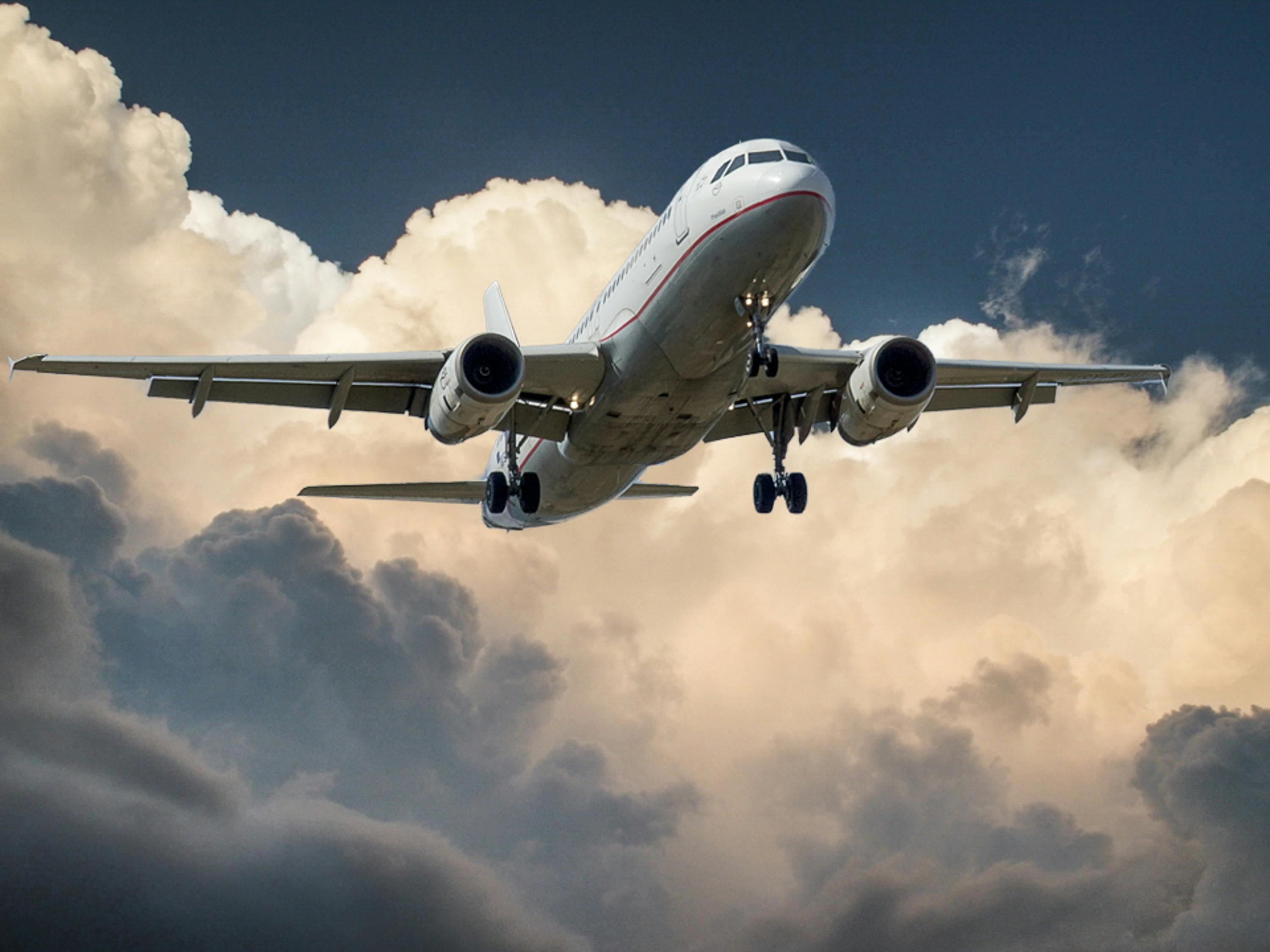 Does Qatar allow pets in the cabin?