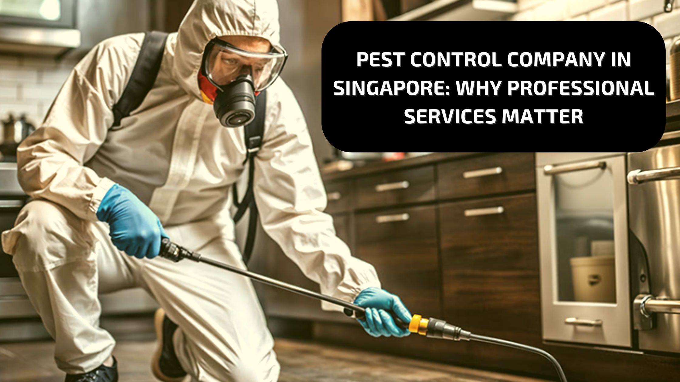 Pest Control Company in Singapore: Why Professional Services Matter