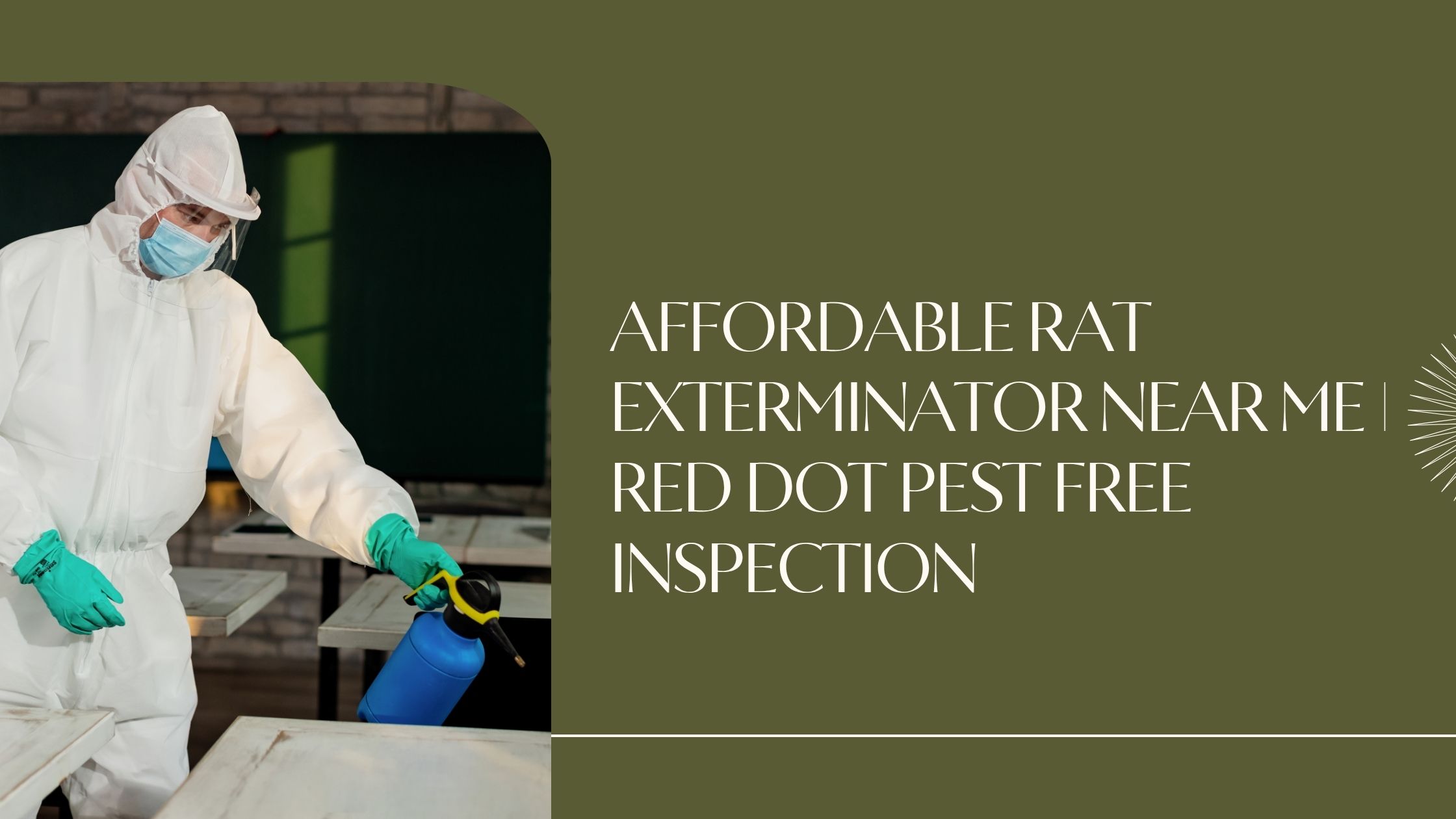 Affordable Rat Exterminator Near Me | Red Dot Pest Free Inspection
