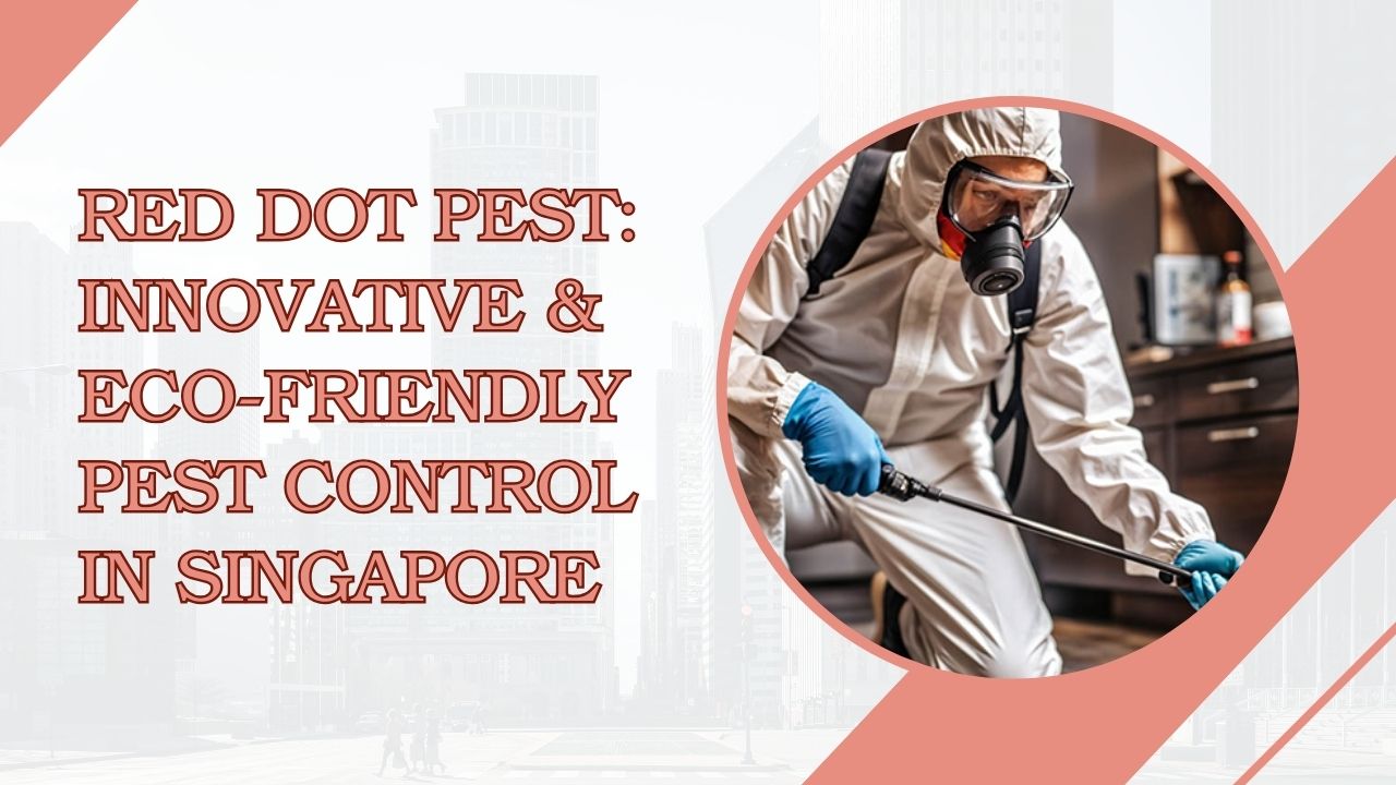Red Dot Pest: Innovative & Eco-Friendly Pest Control in Singapore