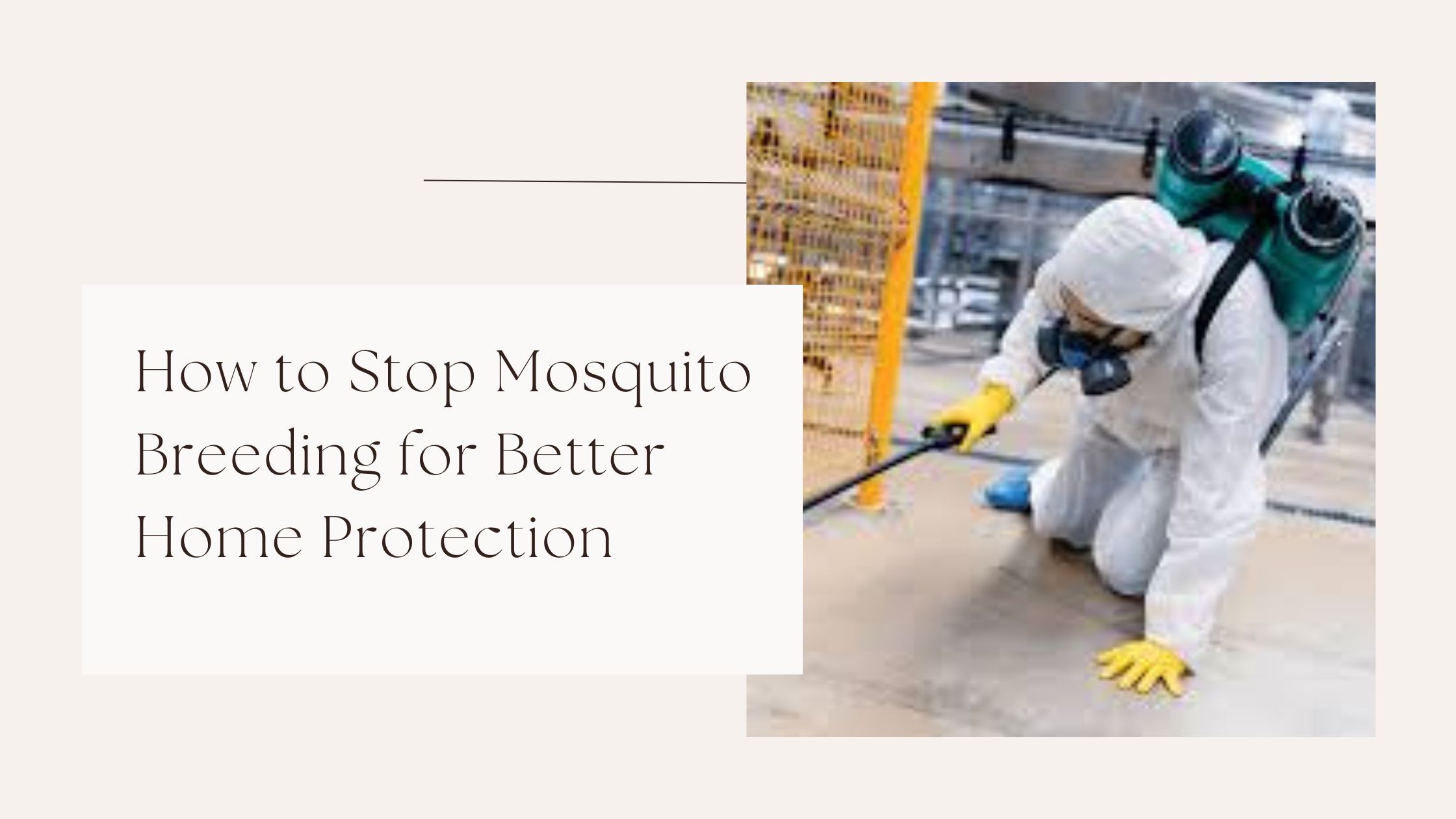 How to Stop Mosquito Breeding for Better Home Protection