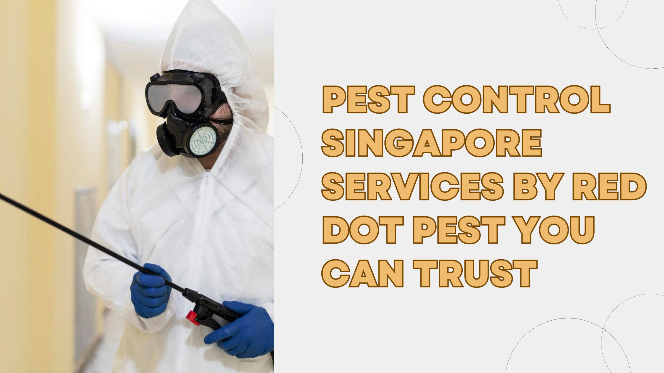 Pest Control Singapore Services by Red Dot Pest You Can Trust
