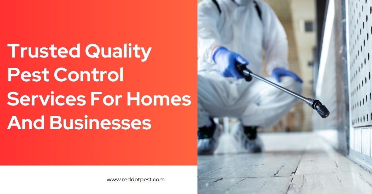Trusted Quality Pest Control Services for Homes and Businesses