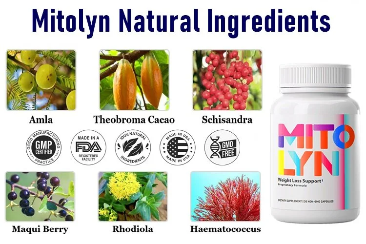 Mytolin Reviews How It Works, Ingredients Breakdown, and Verified Testimonials