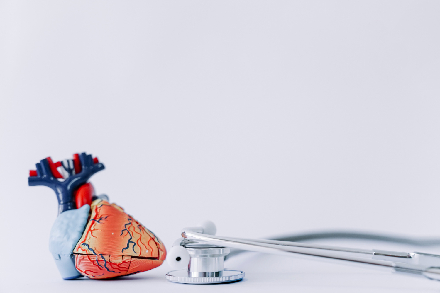 Heart Health at Every Age: How to Protect Your Heart for Life