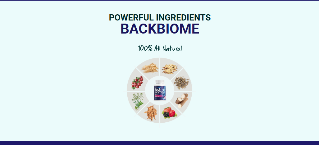 BackBiome Ingredients – Discover the Natural Science Behind Relief