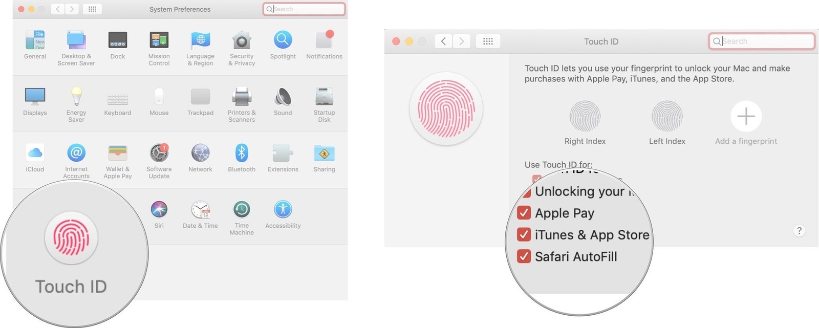 How to Fix Mac Touch ID Issues on App Store and iTunes?