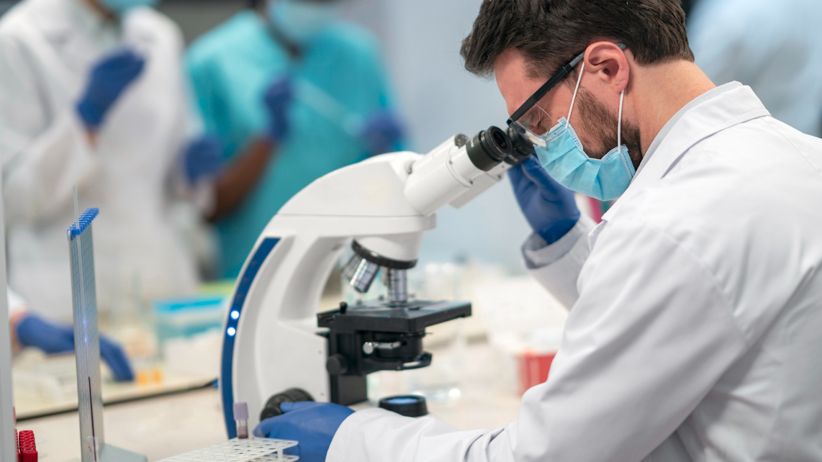 Common Applications of Mouse CD14 Monoclonal Antibody Explained