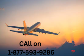 {{Golden~Offer}} How to get student discount on American?