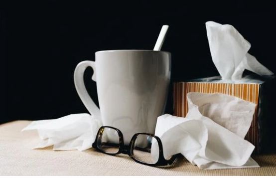 Strengthening your Immune system with EO's