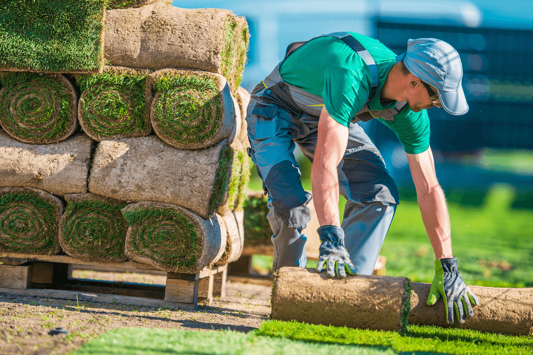 What a Professional Landscaping Company in Tampa Can Do for Your Property