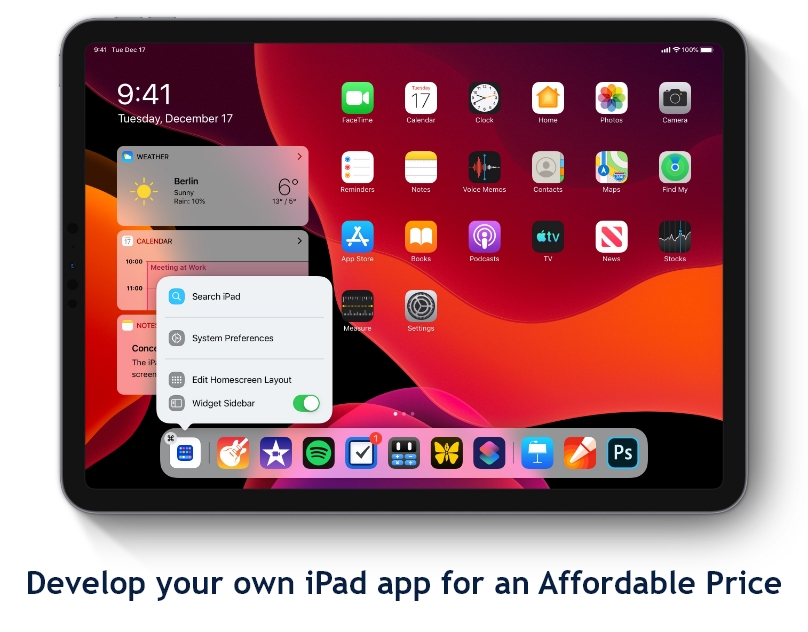 Develop your own iPad app for an Affordable Price