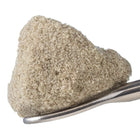 How Climate Affects Hemp Flower Growth and Potency?