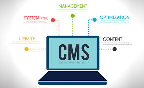 What is the best CMS for web development?