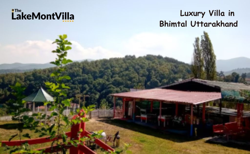 Why Travelers Prefer Homestays Over Hotels in Bhimtal: Comfort, Budget & Local Touch