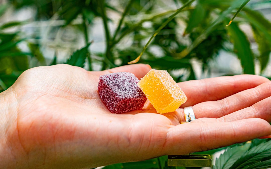Forest Mountain Farm CBD Gummies for Natural Relaxation & Pain Support