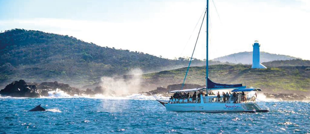 Top Things to Do in the Underrated Gem of Port Stephens