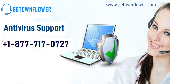 Norton Support Number ***********IN USA/CANADA