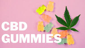 Life Support Labs CBD Gummies – Your Introduction to Natural Relief